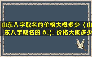 山东八字取名的价格大概多少（山东八字取名的 🦁 价格大概多少钱一个）